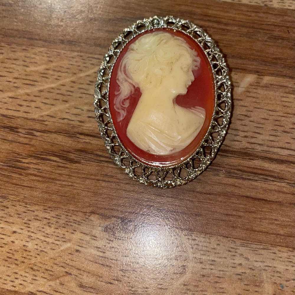 Vintage Oval Coral Lady Brooch